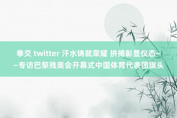 拳交 twitter 汗水铸就荣耀 拼搏彰显仪态——专访巴黎残奥会开幕式中国体育代表团旗头