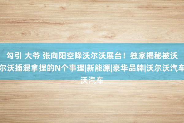 勾引 大爷 张向阳空降沃尔沃展台！独家揭秘被沃尔沃插混拿捏的N个事理|新能源|豪华品牌|沃尔沃汽车