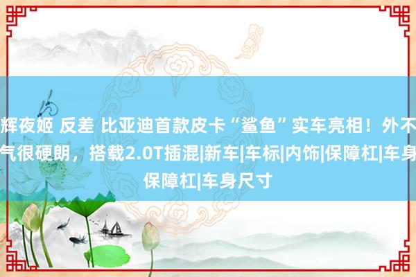 辉夜姬 反差 比亚迪首款皮卡“鲨鱼”实车亮相！外不雅霸气很硬朗，搭载2.0T插混|新车|车标|内饰|保障杠|车身尺寸